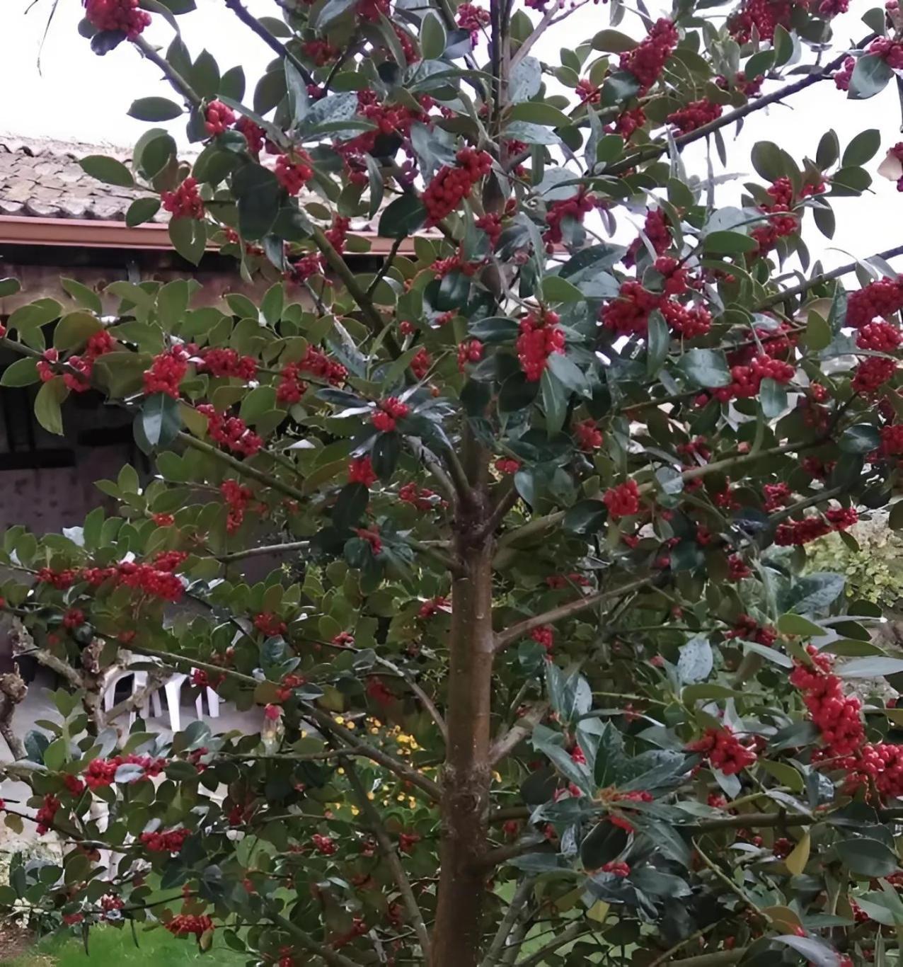Casa Rural El Fresno Del Abuelo La Cuesta  Bagian luar foto